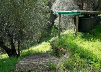 Foto 4 - Terreno agricolo Via Montepino, Albisola Superiore - foto 4