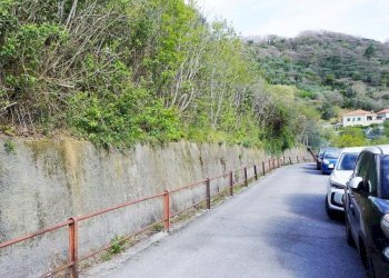 Foto 7 - Terreno agricolo Via Montepino, Albisola Superiore - foto 7