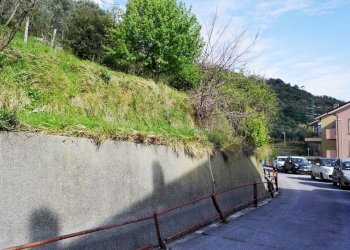 Foto 11 - Terreno agricolo Via Montepino, Albisola Superiore - foto 11