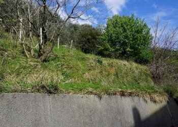 Foto 12 - Terreno agricolo Via Montepino, Albisola Superiore - foto 12