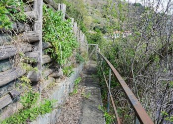 Foto 13 - Terreno agricolo Via Montepino, Albisola Superiore - foto 13