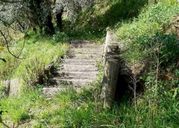 Foto 16 - Terreno agricolo Via Montepino, Albisola Superiore - foto 16