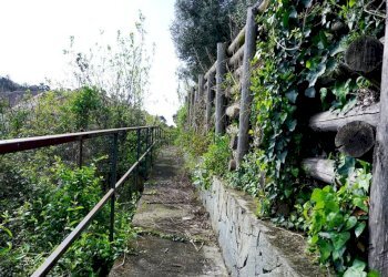 Foto 18 - Terreno agricolo Via Montepino, Albisola Superiore - foto 18