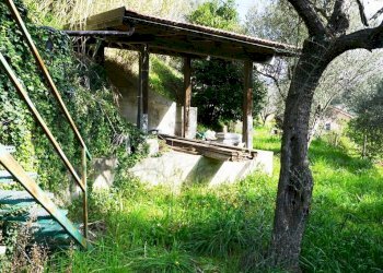 Foto 20 - Terreno agricolo Via Montepino, Albisola Superiore - foto 20