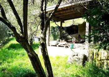 Foto 21 - Terreno agricolo Via Montepino, Albisola Superiore - foto 21