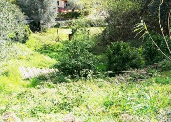 Foto 22 - Terreno agricolo Via Montepino, Albisola Superiore - foto 22