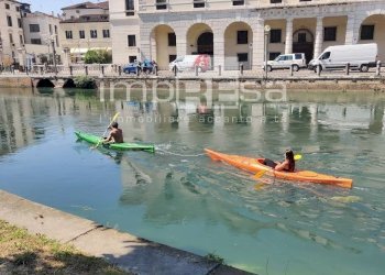 Foto 8 - Stabile - Palazzo piazza Duomo, Treviso - foto 8