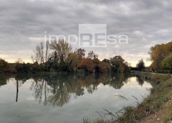 Foto 9 - Stabile - Palazzo piazza Duomo, Treviso - foto 9