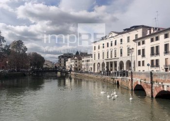 Foto 15 - Stabile - Palazzo piazza Duomo, Treviso - foto 15