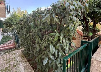 Foto 19 - Quadrilocale Via Trivice D'Ossa, Camposano - foto 19