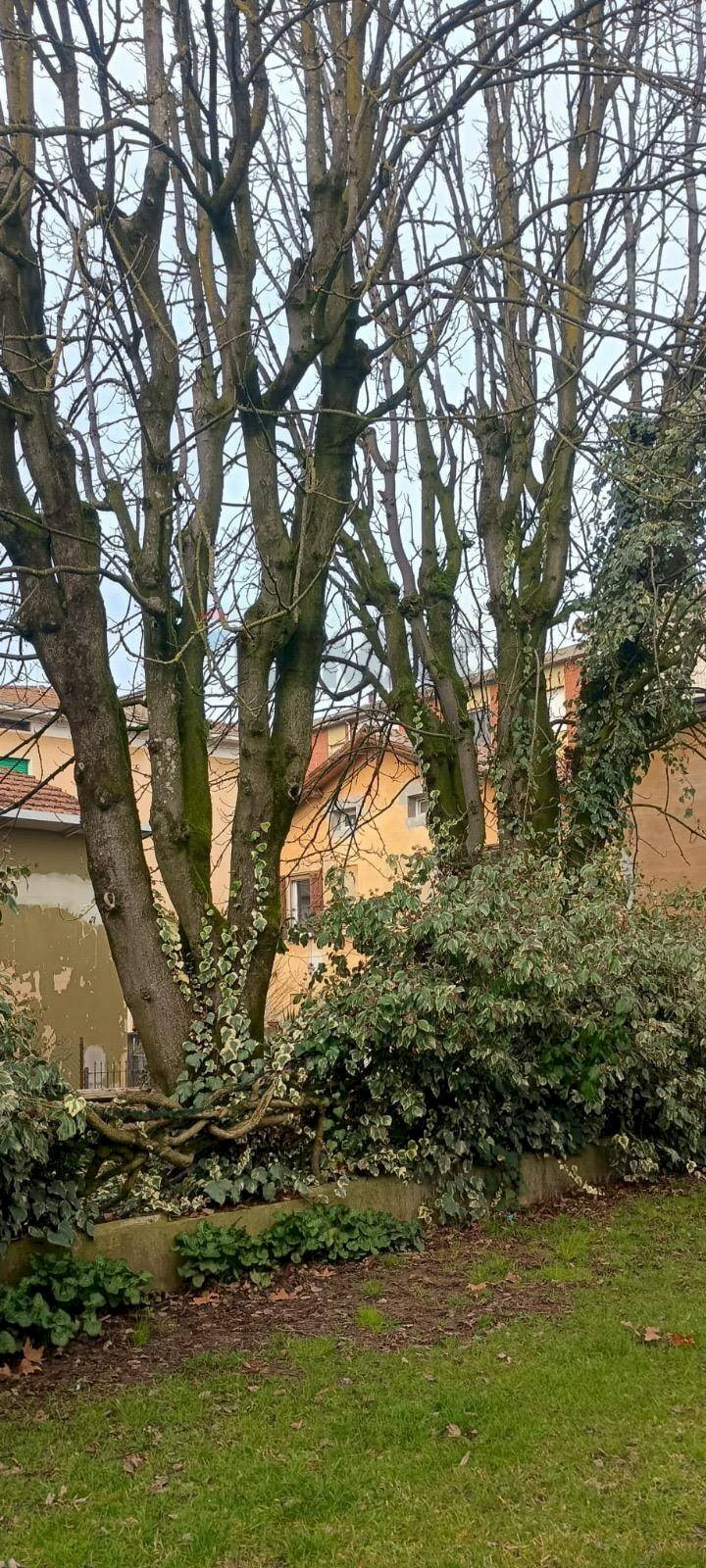Giardino - Casa indipendente via Domenica Baccarini
 
5, Campagnola Emilia - foto 3