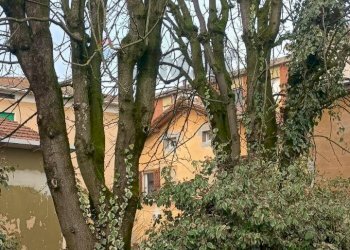 Giardino - Casa indipendente via Domenica Baccarini
 
5, Campagnola Emilia - foto 3