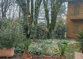 Giardino - Casa indipendente via Domenica Baccarini
 
5, Campagnola Emilia - foto 14