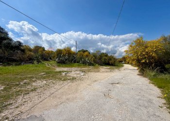 Giardino - Villa C.da Campolato, Augusta - foto 28