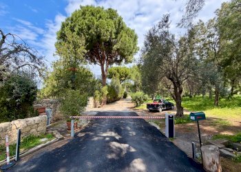 Giardino - Villa C.da Campolato, Augusta - foto 38