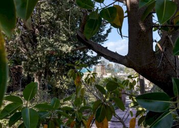 Giardino - Villa C.da Campolato, Augusta - foto 50