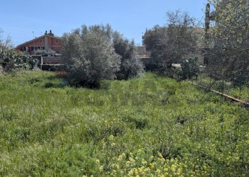 Giardino - Terreno edificabile VIALE DELLE AMERICHE
198, Ragusa - foto 6
