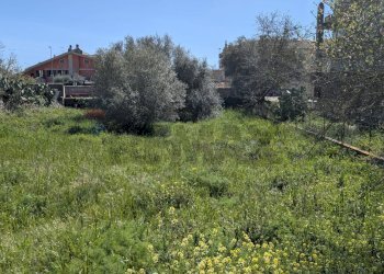 Giardino - Terreno edificabile VIALE DELLE AMERICHE
198, Ragusa - foto 9