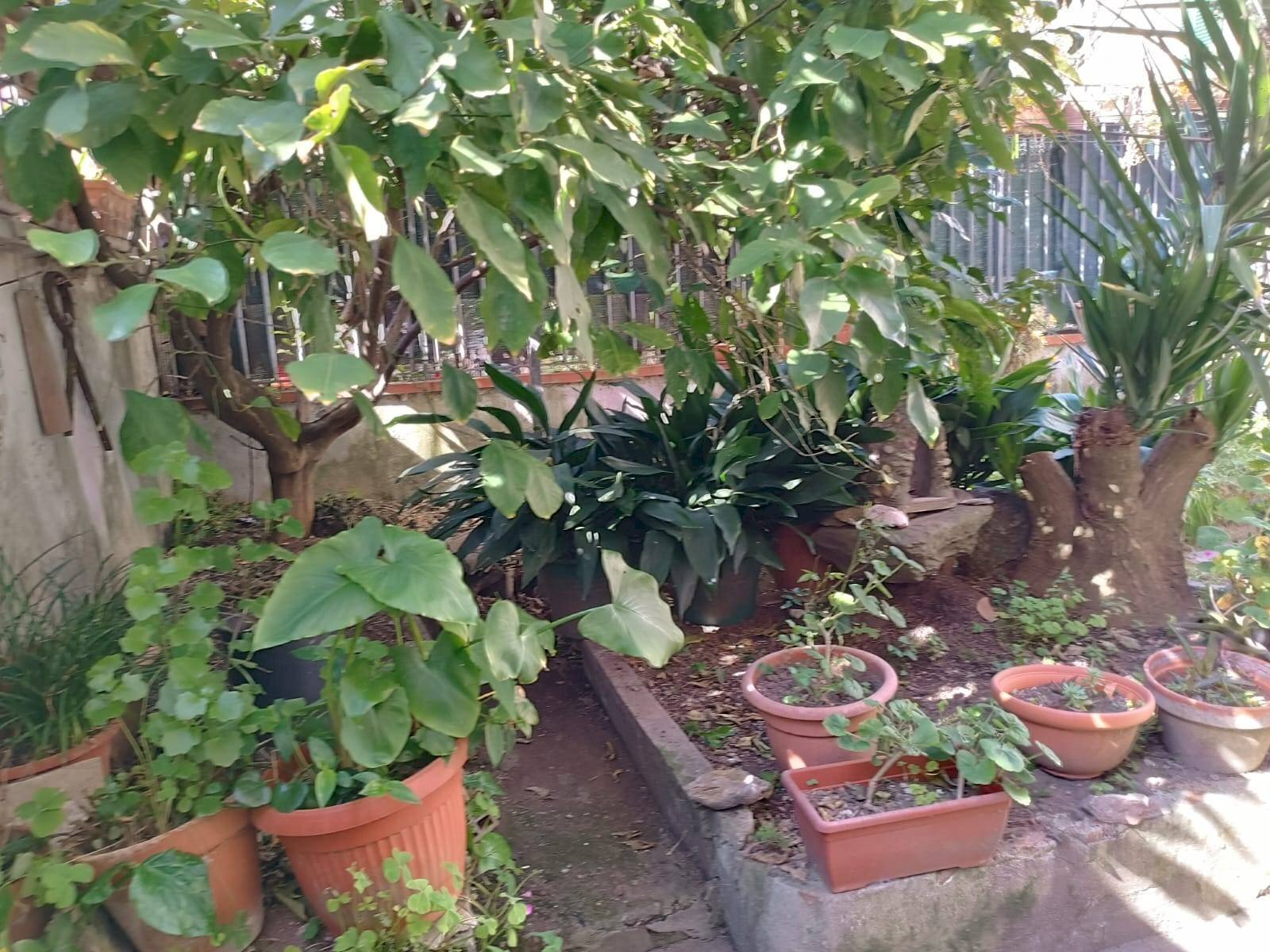 Foto 2 - Casa indipendente Via Galileo Galilei, Castelfranco di Sotto - foto 2