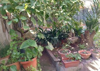 Foto 2 - Casa indipendente Via Galileo Galilei, Castelfranco di Sotto - foto 2