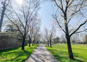 Foto 42 - Bilocale Via della baitella
 
2, Castegnato - foto 42