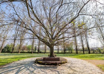 Foto 64 - Bilocale Via della baitella
 
2, Castegnato - foto 64