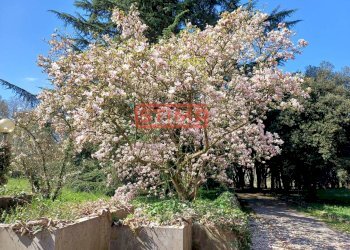 Foto 67 - Villa Casier - photo 67