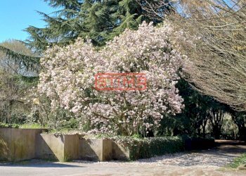 Foto 69 - Villa Casier - photo 69