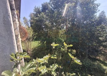 Foto 24 - Villa Via della Fornace, Mercato San Severino - foto 24