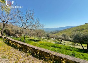 Foto 16 - Rustico via Bencistà Gorioli
 
10, Bagno a Ripoli - foto 16