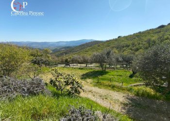 Foto 23 - Rustico via Bencistà Gorioli
 
10, Bagno a Ripoli - foto 23