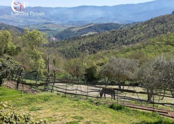 Foto 36 - Rustico via Bencistà Gorioli
 
10, Bagno a Ripoli - foto 36