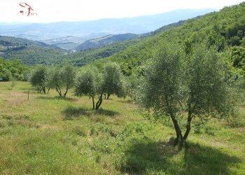 Foto 39 - Rustico via Bencistà Gorioli
 
10, Bagno a Ripoli - foto 39