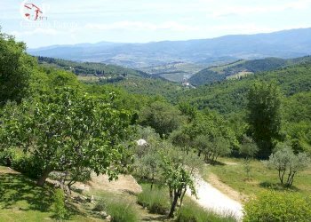 Foto 43 - Rustico via Bencistà Gorioli
 
10, Bagno a Ripoli - foto 43