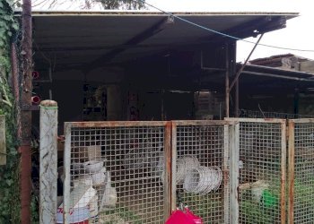 Foto 3 - Box via Chiantigiana
 
12, Firenze - foto 3