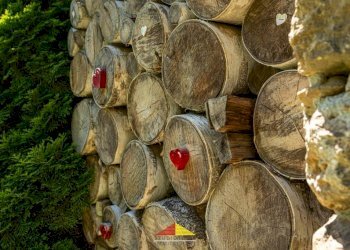 Altro - Rustico Frazione Pragelato Sottano, San Damiano Macra - foto 32