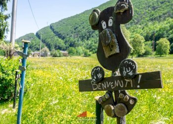 Terreno - Rustico Frazione Pragelato Sottano, San Damiano Macra - foto 37