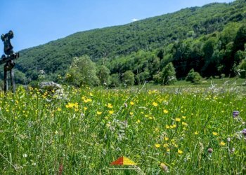 Terreno - Rustico Frazione Pragelato Sottano, San Damiano Macra - foto 41