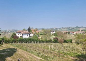 Terreno - Rustico Regione Italiana, 34, San Marzano Oliveto - foto 5