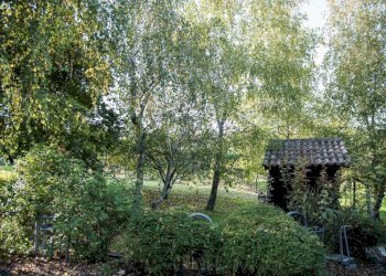 Giardino - Rustico Regione Italiana, 34, San Marzano Oliveto - foto 31