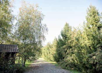 Terreno - Rustico Regione Italiana, 34, San Marzano Oliveto - foto 32