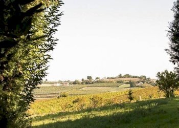 Vista - Rustico Regione Italiana, 34, San Marzano Oliveto - foto 37