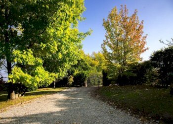 Giardino - Rustico Regione Italiana, 34, San Marzano Oliveto - foto 38