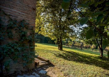 Giardino - Rustico Regione Italiana, 34, San Marzano Oliveto - foto 39