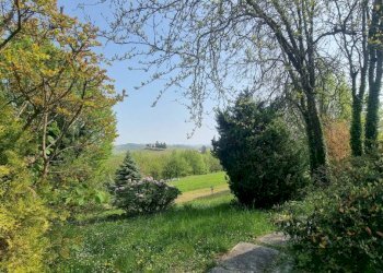 Terreno - Rustico Regione Italiana, 34, San Marzano Oliveto - foto 42