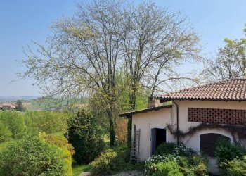 Vista - Rustico Regione Italiana, 34, San Marzano Oliveto - foto 49