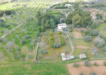 Foto 13 - Villa contrada piantata, Sannicola - foto 13