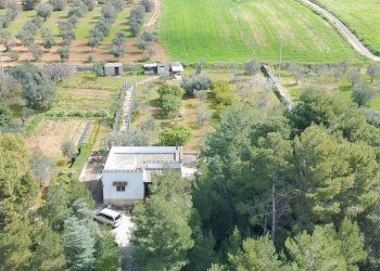 Foto 16 - Villa contrada piantata, Sannicola - foto 16