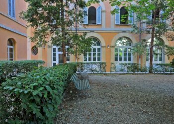 Giardino - Two-room apartment Bologna (neighborhood Centro Storico) - photo 9
