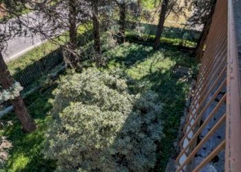 Giardino - Stabile - Palazzo via Emilia, 492, San Lazzaro di Savena - foto 24